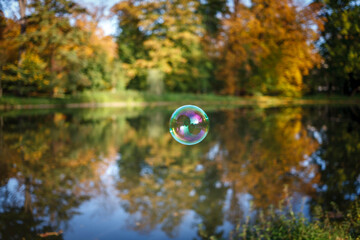 colorful Bubble in the autumn forest