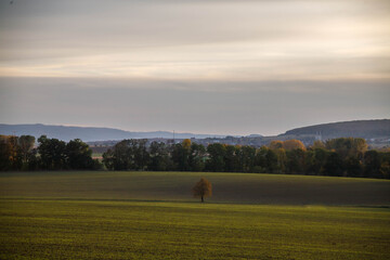 Autumn nature bohemia with sunset