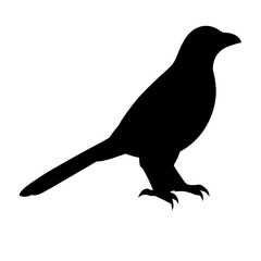 Abstract black and white geometric pattern with repeating squares and lines