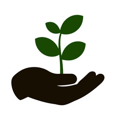 A dark silhouette of an open hand cradles rich soil from which a vibrant green seedling sprouts upwards