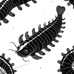 Holothuria spinifera sea cucumber outline, premium black stroke, subtle texture lines, white background, modern scientific illustration, minimalist marine wildlife design