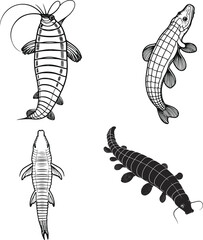 Japanese sea cucumber (Apostichopus japonicus) outlined vector, simple black line detailing, white background, marine biology diagram style, clean and minimal, commercial use safe