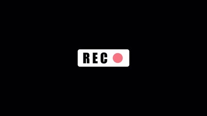 Records icon white text red circle blinking animation on transparent background. rec frame icon animation. record icon button Motion graphics of REC concept with alpha channel in 4K.