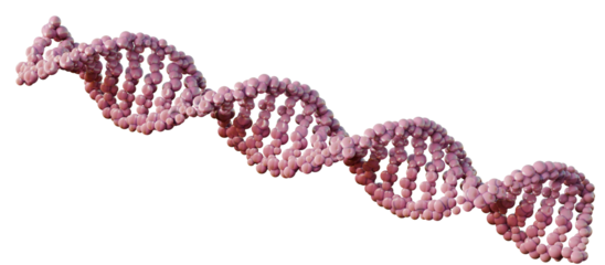 Abstract 3D digital DNA helix structure background. Transparent background. 3D rendering.