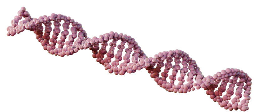 Abstract 3D digital DNA helix structure background. Transparent background. 3D rendering.