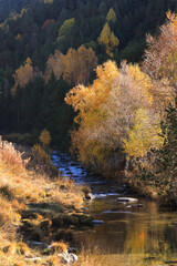 autumn in the river mountains