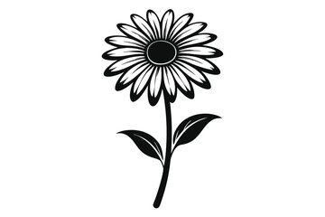 daisy black and white line art silhouette on white background