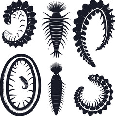 Tropical sea cucumber variety set, different body textures, clean white background, black contour lines, simple educational style, premium vector icon pack 1