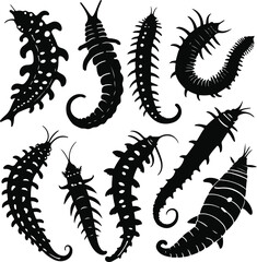 Tropical sea cucumber variety set, different body textures, clean white background, black contour lines, simple educational style, premium vector icon pack 3