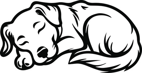 Sleeping dog curled pose, soft line contour, white background, peaceful minimal design, pet shop branding style, editable black line vector