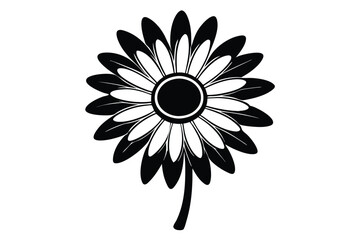 daisy black and white line art silhouette on white background