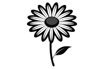 daisy black and white line art silhouette on white background