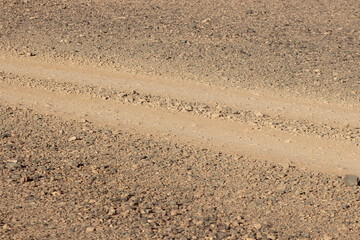 Dirt road in the desert