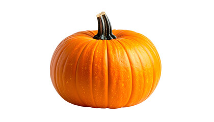 Obraz premium A vibrant, round orange squash with a dark green stem against a stark black backdrop