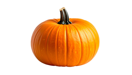 A vibrant, round orange squash with a dark green stem against a stark black backdrop