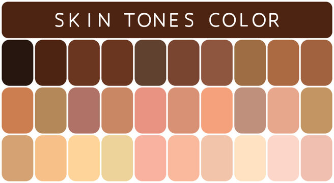 Skin tones Color Palette. Skin tones color palette isolated on white background. 