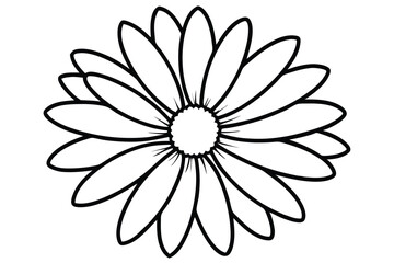 daisy black and white line art silhouette on white background