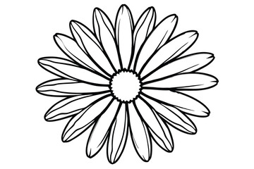 daisy black and white line art silhouette on white background