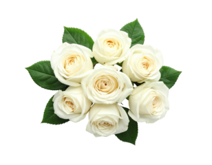 A close-up shot of a bouquet of seven white roses with green leaves against a black backdrop