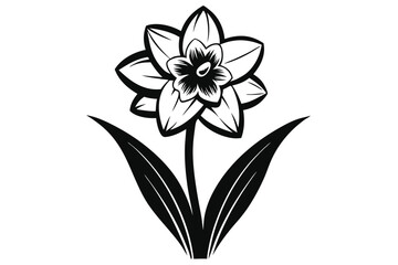 Obraz premium daffodil black and white silhouette on white background
