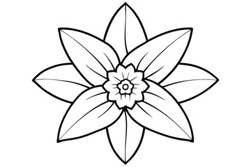 daffodil black and white line art on white background
