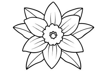 daffodil black and white line art on white background