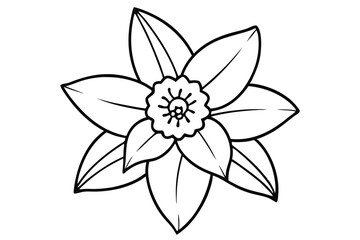 daffodil black and white line art on white background
