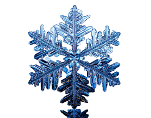 Intricate, six-pointed, crystalline structure with delicate icy formations. Black background