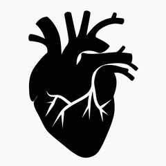 Obraz premium Anatomical heart illustration in black and white showing arteries and veins in a simple graphic style