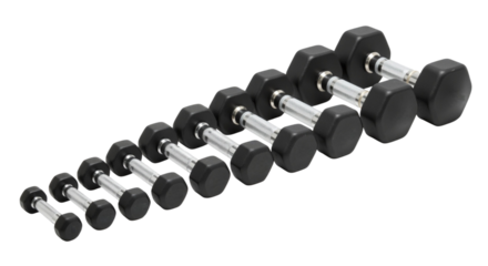 Progressive dumbbell set for strength training and muscular endurance build