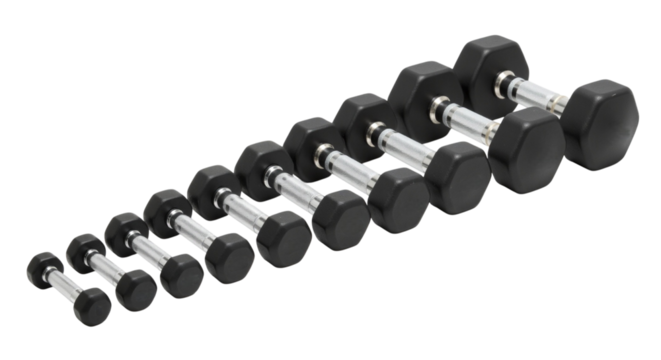 Progressive dumbbell set for strength training and muscular endurance build