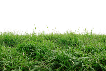 Fototapeta premium Lush green grass field landscape isolated on a bright background showcasing nature's beauty and simplicity in a serene setting