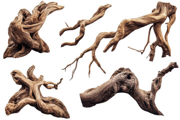 Unique twisted tree roots collection isolated against a white background showcasing various shapes and textures