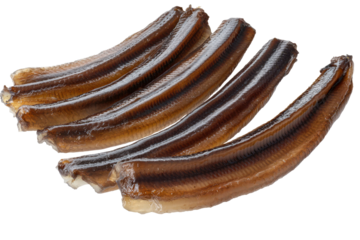 Freshly cooked eel slices ready for culinary use in various dishes and cuisines worldwide, showcasing their appealing texture and color