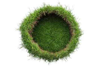 Natural grass formation on a circular patch in a garden showcasing vibrant green color and texture under sunlight with no surrounding plants visible nearby