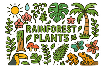 Rainforest Doodle Art. Rainforest Plants. Hand-drawn doodle illustration of rainforest plants. Ferns, vines,
