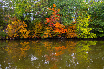 fall colors on trees near Mississippi River