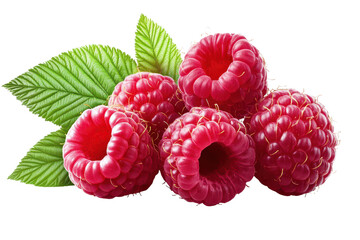 Ripe raspberries and green leaves showcase fresh fruit grown in summer gardens ready for harvest