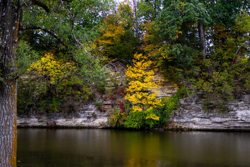 fall colors on trees near Mississippi River