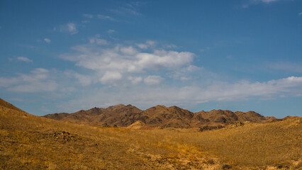 Tranquil steppe landscape with soft hills and mountains under expansive cloudy sky
