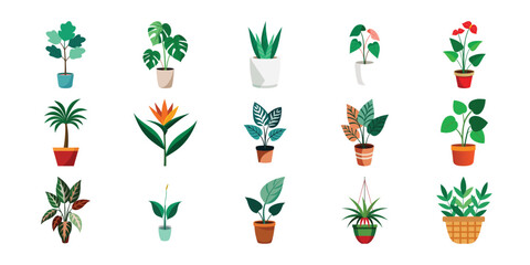 Collection of various potted houseplants and tropical plants in colorful pots illustration