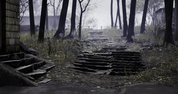 Wind whispers through trees as an old, rugged pathway winds its way uphill. Traces of past life linger in the overgrown grass, inviting exploration into the shadows of history.