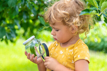 A child studies a beetle in a jar with a magnifying glass. Selective focus.