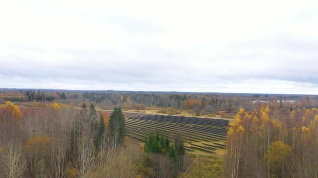 Aerial view of expansive agricultural landscape showcasing vibrant autumn foliage and neatly arranged crop rows, camera smoothly pans across scene