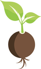 Sprouting plant in one line art style. Sprout drawing with editable black stroke on white background.