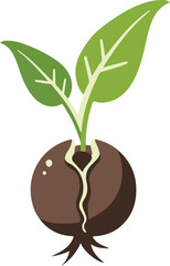 Green sprout grows from the ground. Realistic vector illustration. It symbolizes life and development and ecology.
