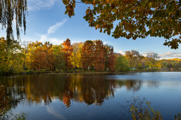 Beautiful autumn trees in vivid shades of yellow, orange, and red reflected on the calm water of a lake in Chemnitz public park. A peaceful fall landscape full of color and natural harmony.