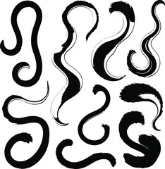  Cat tail shape variations set, simple black outline, white background, different curve and fluff styles, educational and branding-friendly 1