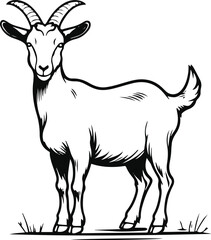 Standing goat outline, smooth contour lines, white background, natural pose, minimal rural farm animal vector, no shading 1