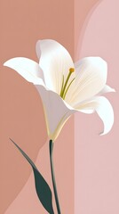 Obraz premium Elegant white blossom stands tall against a muted pink background composition